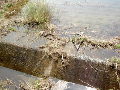 ���R�z�����^���f