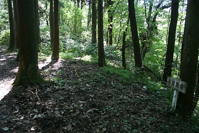 百間馬場は馬場としては狭いようですが