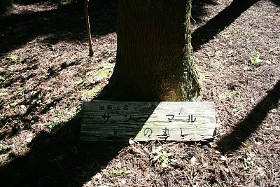 三の丸の看板が・・・