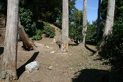 二の丸下の帯曲輪