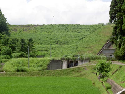 �����_���S�i