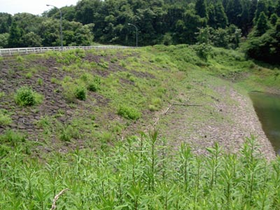 ��̂��㗬���猩��