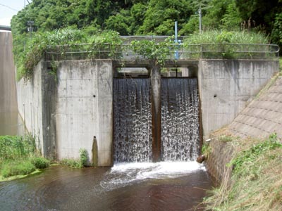 �������ł�