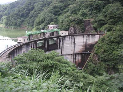 ���݉������猩���S�i