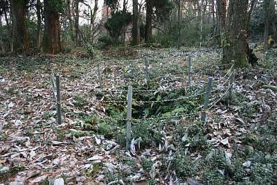 A郭東区画にある井戸跡