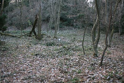 A郭東区画はかなりの広さです