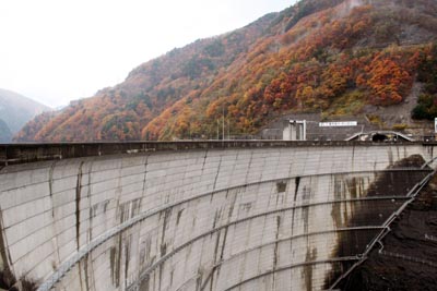 ��̂��E�݂���]��