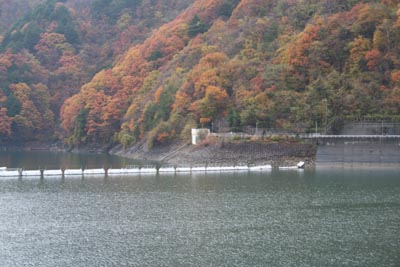 �C���N���C���Ɗi�[��