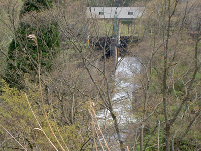 �������ł�