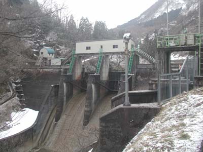 ���������猩�����