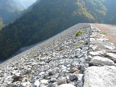 �V�[�͈ꕔ�����֎~�ł�