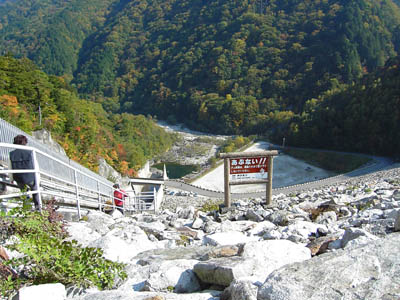 �V�[�����̉����������낷