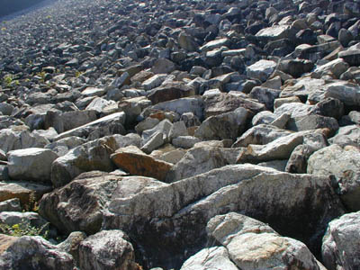 �΂̉͌����E�E�E