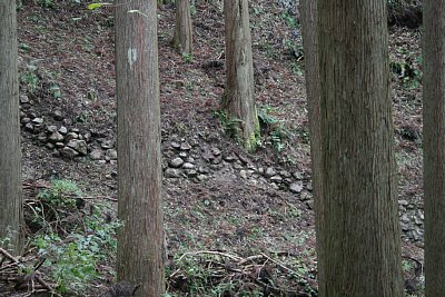 ここの石垣はいったいどうなっているのでしょうか