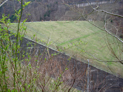 �ޗǈ�_���S�i