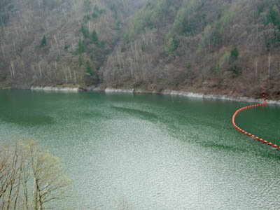 �_���΂́A�Ȃ炢��