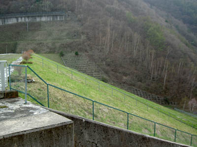 ��̉������͑����������b�N�t�B���炵�����܂���