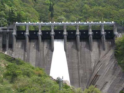 ���������̑S�i