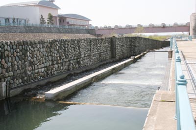 �����͊K�i�������Ɛl�H�͐쎮����������܂�