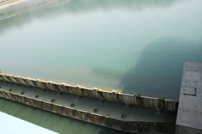 ���������~�߂Ă��܂�