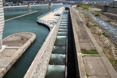 �K�i���������̏ォ��