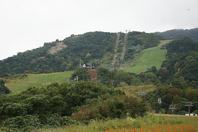 IOX�|AROSA�X�L�[��S�i