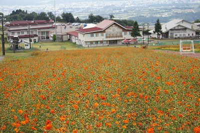 IOX�|AROSA�X�L�[��@�L�o�i�R�X���X