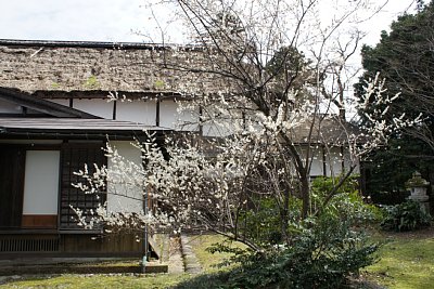 ���c�ƏZ��@�剮