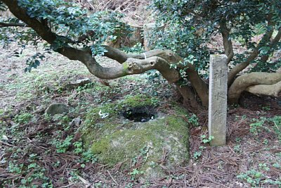 ���R��Ձ@�_����