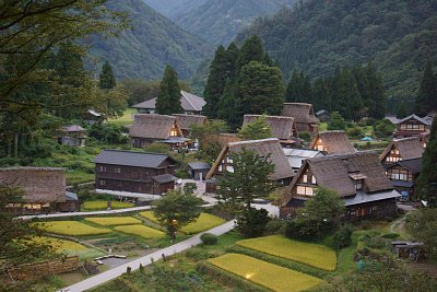 ���q�����W��