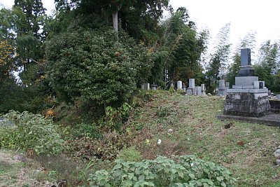 ������̎�����͂ޓy��