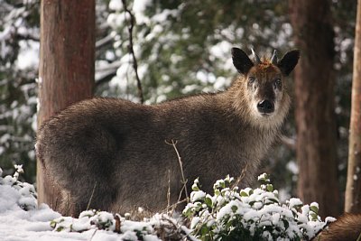 �j�z���J���V�J