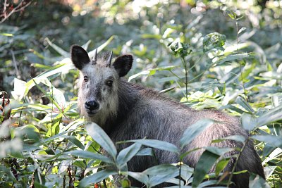まだ子どもでしょう