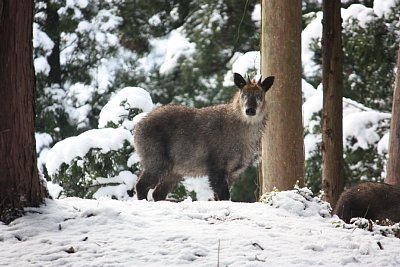 �j�z���J���V�J