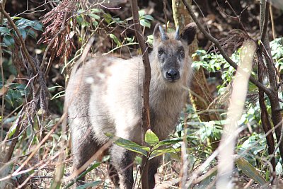 道端に突如出現しました