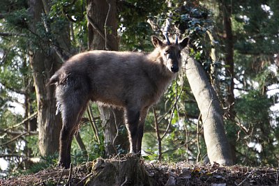 �j�z���J���V�J