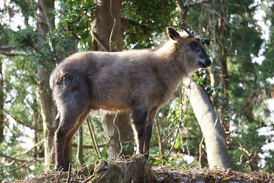 �j�z���J���V�J