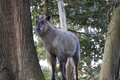 �j�z���J���V�J