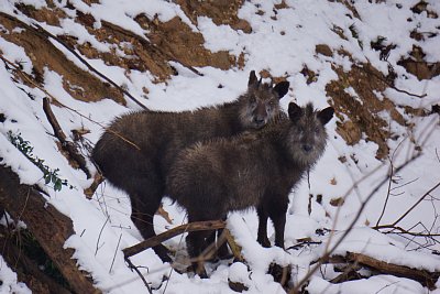 �j�z���J���V�J