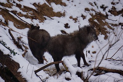 ようやく移動を始めました