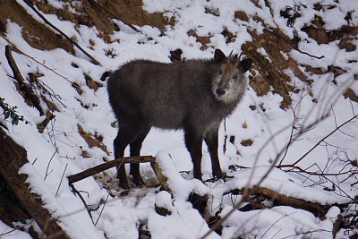 �j�z���J���V�J