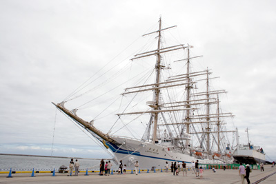 ���؍`���t�u���ɒ┑������{��