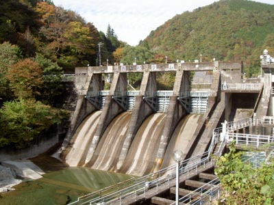 �����_���S�i