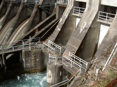 ���ˑ�Q���͔��d���ւ̓�����