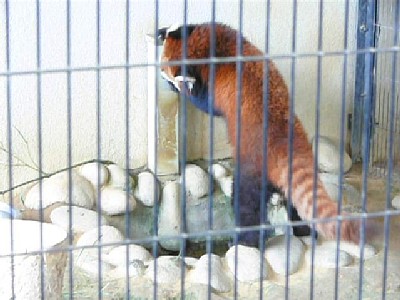 画像をクリックすると動画が再生されます