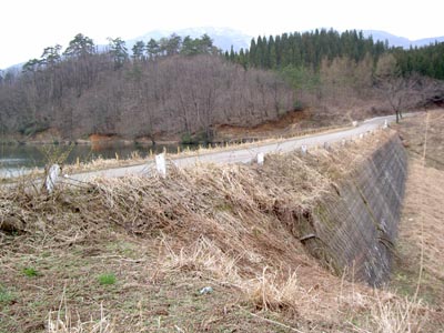 �E�݂����̉�����������