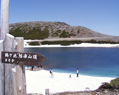 ��Ɗx�߃��r