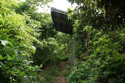 白丸駅待合所とホーム