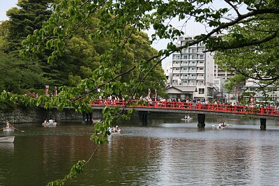 小田原城学橋