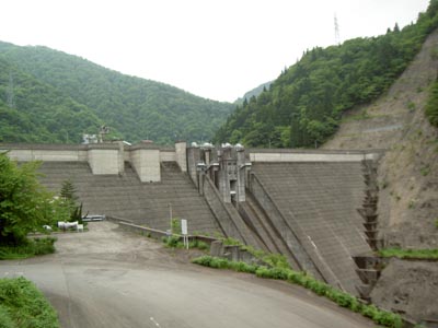 ������_���S�i